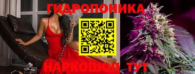 винт Донецк