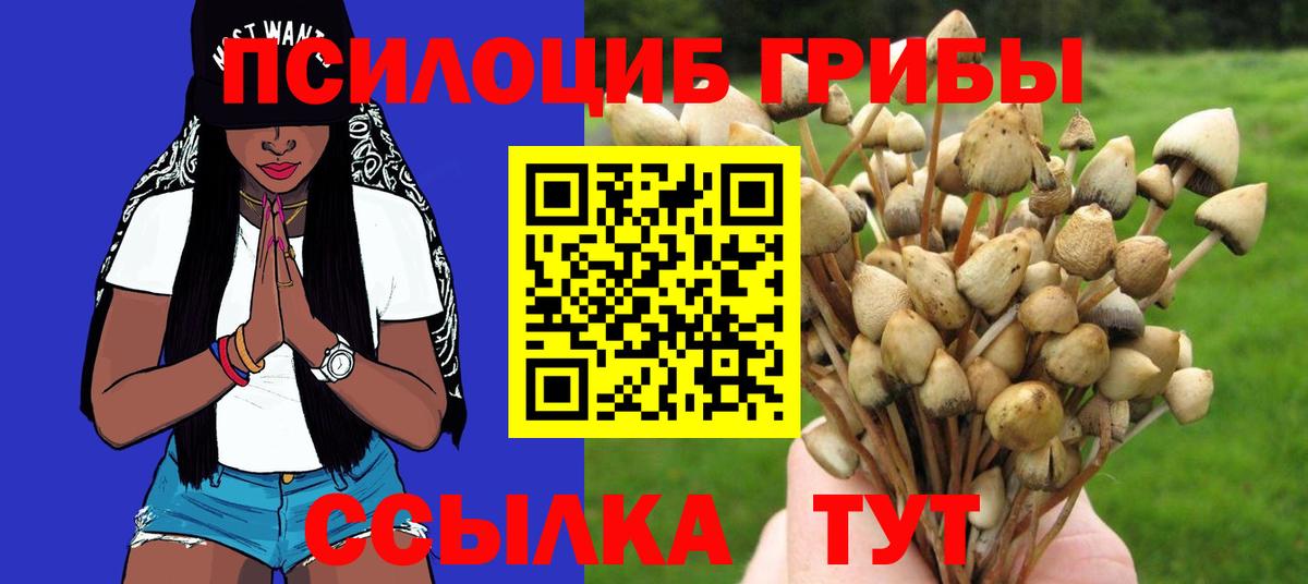 закладка  Вход с VPN  Королёв  Галлюциногенные грибы Cubensis 